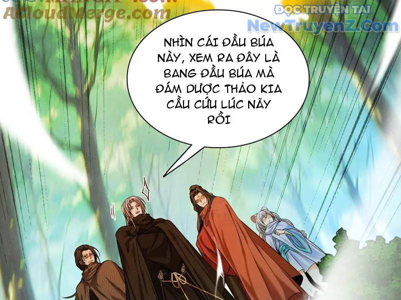 Gặp Mạnh Thì Càng Mạnh, Tu Vi Của Ta Không Giới Hạn: Chapter 47