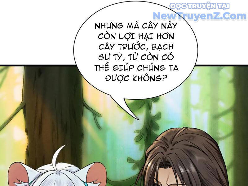 Gặp Mạnh Thì Càng Mạnh, Tu Vi Của Ta Không Giới Hạn: Chapter 47