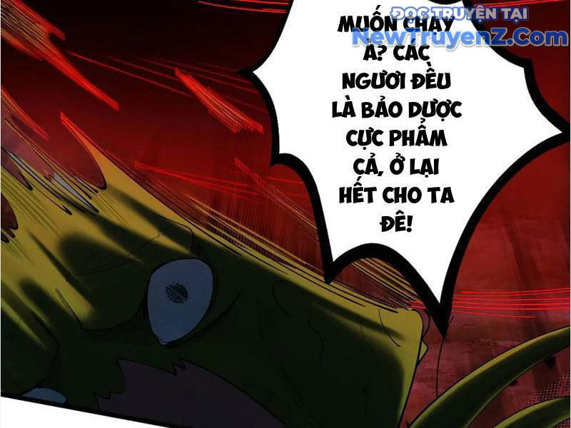 Gặp Mạnh Thì Càng Mạnh, Tu Vi Của Ta Không Giới Hạn: Chapter 48