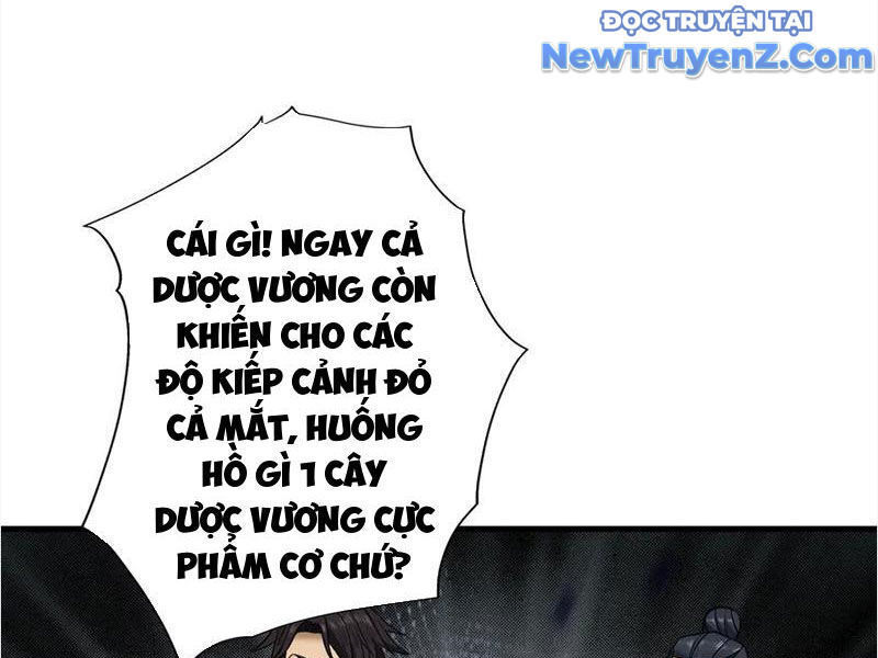 Gặp Mạnh Thì Càng Mạnh, Tu Vi Của Ta Không Giới Hạn: Chapter 48