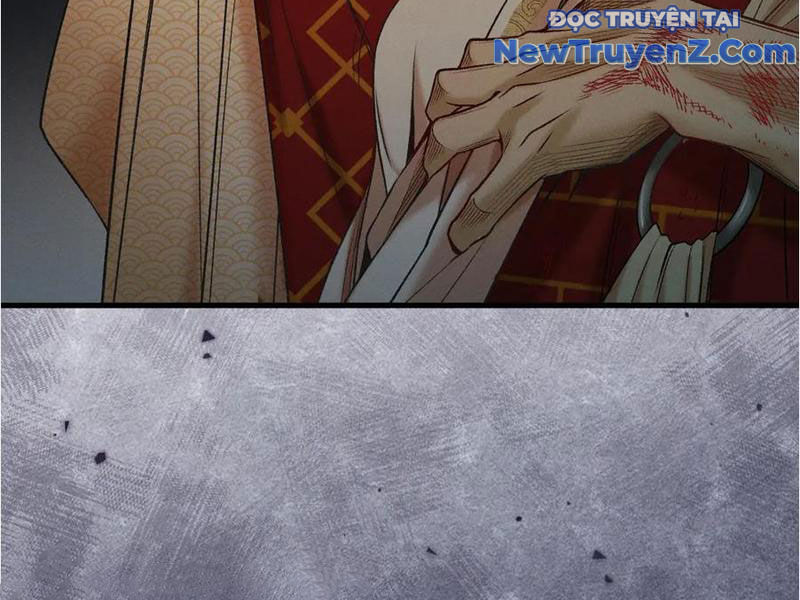 Gặp Mạnh Thì Càng Mạnh, Tu Vi Của Ta Không Giới Hạn: Chapter 48