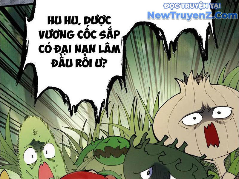 Gặp Mạnh Thì Càng Mạnh, Tu Vi Của Ta Không Giới Hạn: Chapter 48