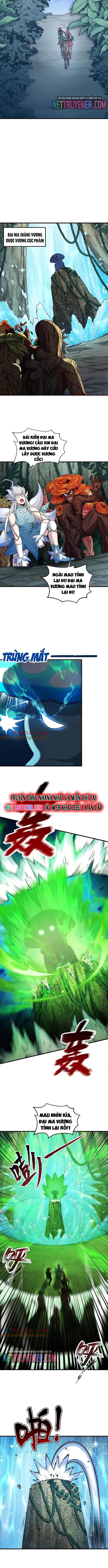 Gặp Mạnh Thì Càng Mạnh, Tu Vi Của Ta Không Giới Hạn: Chapter 49