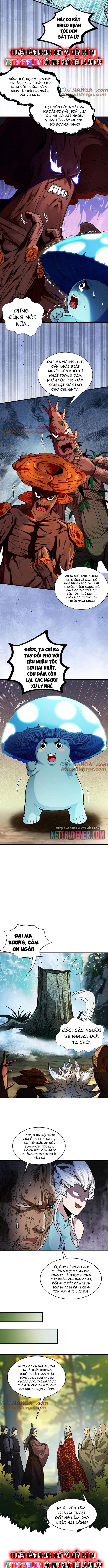 Gặp Mạnh Thì Càng Mạnh, Tu Vi Của Ta Không Giới Hạn: Chapter 49