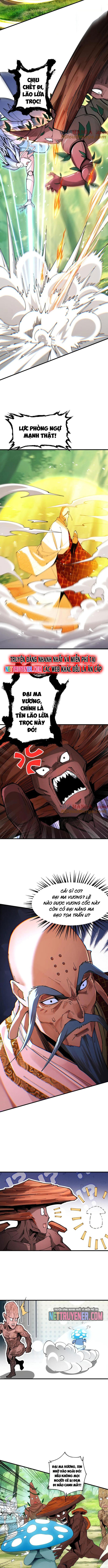 Gặp Mạnh Thì Càng Mạnh, Tu Vi Của Ta Không Giới Hạn: Chapter 49