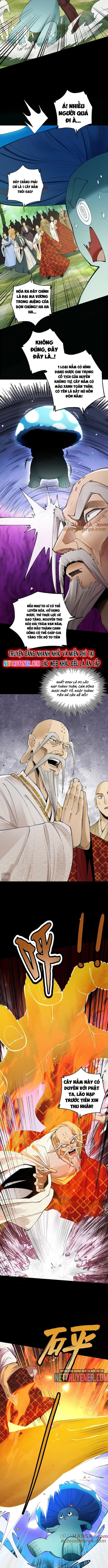 Gặp Mạnh Thì Càng Mạnh, Tu Vi Của Ta Không Giới Hạn: Chapter 49