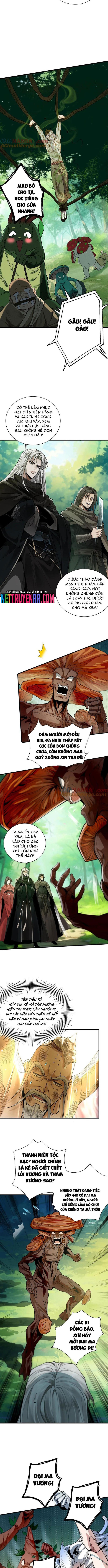 Gặp Mạnh Thì Càng Mạnh, Tu Vi Của Ta Không Giới Hạn: Chapter 50