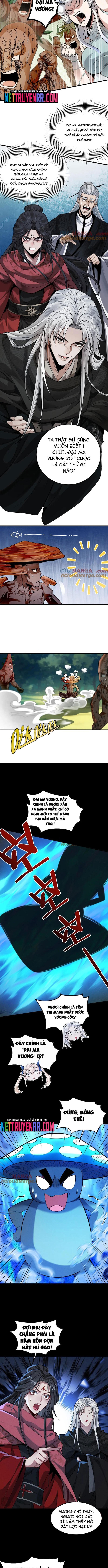 Gặp Mạnh Thì Càng Mạnh, Tu Vi Của Ta Không Giới Hạn: Chapter 50