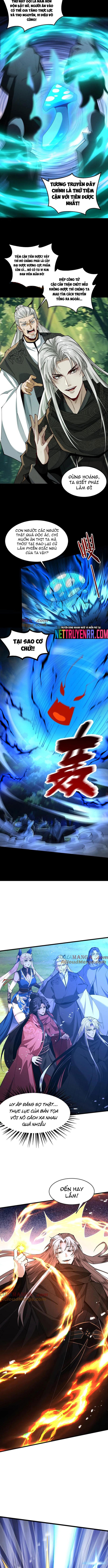 Gặp Mạnh Thì Càng Mạnh, Tu Vi Của Ta Không Giới Hạn: Chapter 50