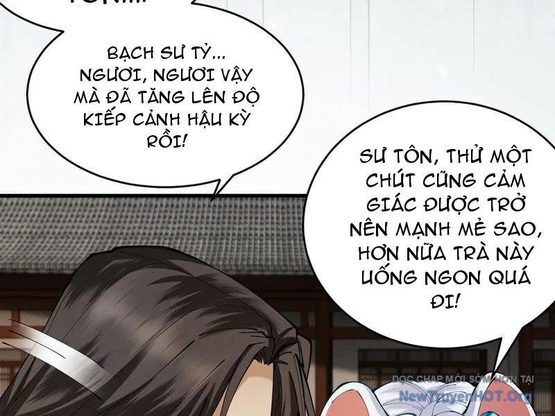 Gặp Mạnh Thì Càng Mạnh, Tu Vi Của Ta Không Giới Hạn: Chapter 55