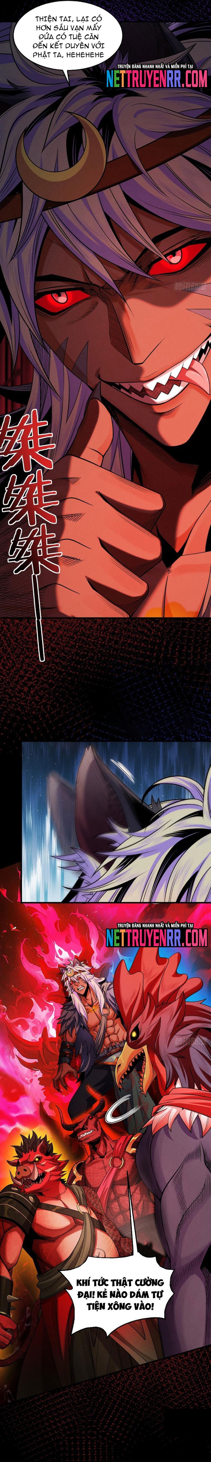 Gặp Mạnh Thì Càng Mạnh, Tu Vi Của Ta Không Giới Hạn: Chapter 56