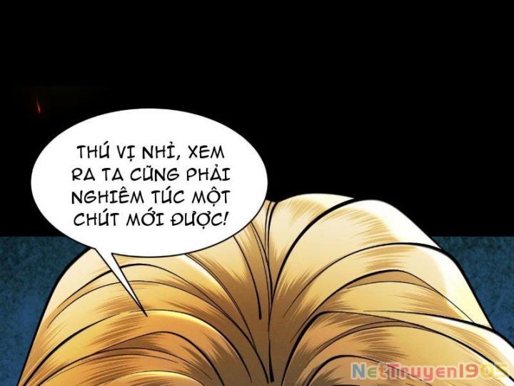 Gặp Mạnh Thì Càng Mạnh, Tu Vi Của Ta Không Giới Hạn: Chapter 60