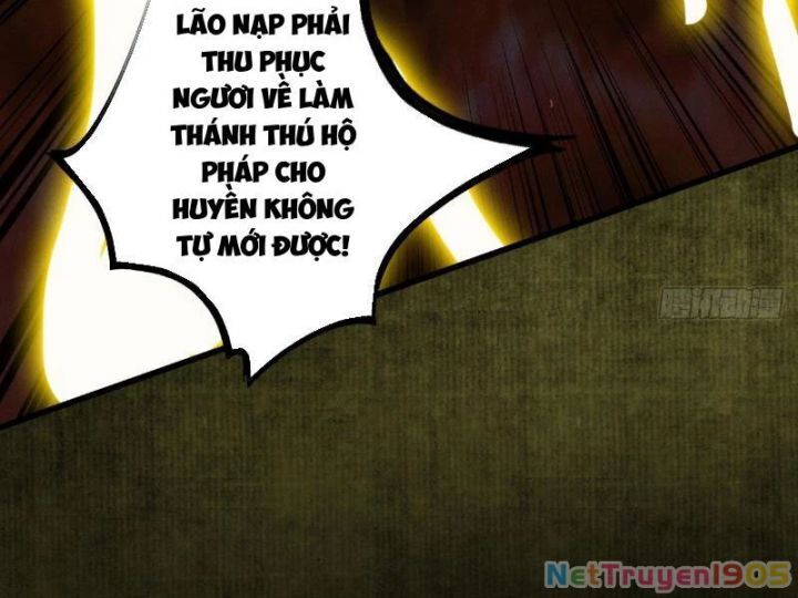Gặp Mạnh Thì Càng Mạnh, Tu Vi Của Ta Không Giới Hạn: Chapter 60
