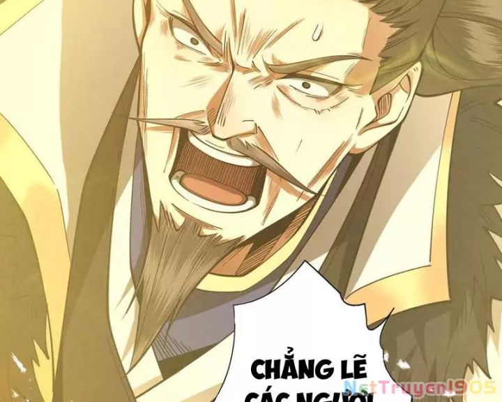 Gặp Mạnh Thì Càng Mạnh, Tu Vi Của Ta Không Giới Hạn: Chapter 62