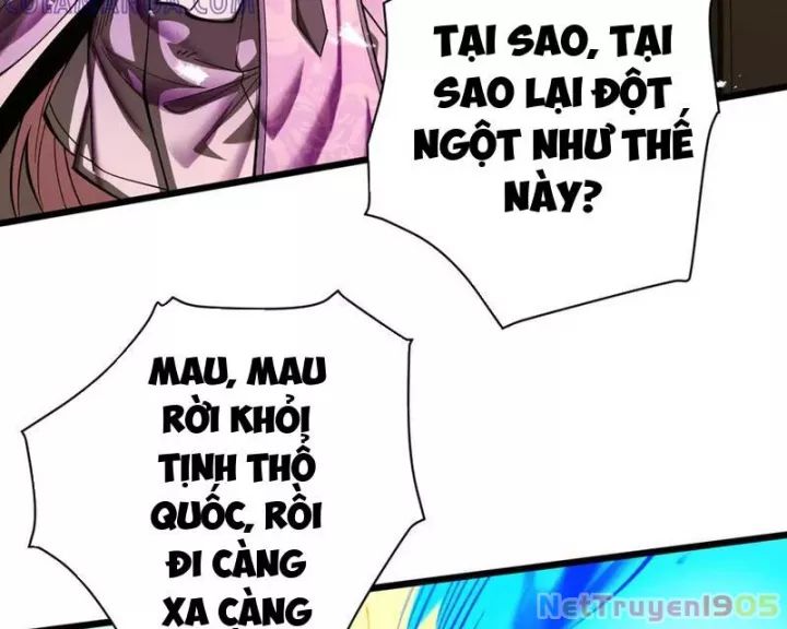 Gặp Mạnh Thì Càng Mạnh, Tu Vi Của Ta Không Giới Hạn: Chapter 62