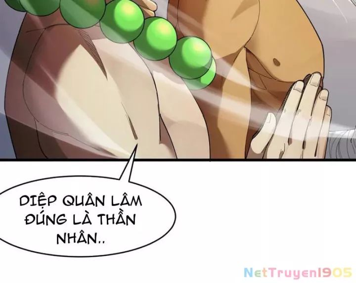 Gặp Mạnh Thì Càng Mạnh, Tu Vi Của Ta Không Giới Hạn: Chapter 62