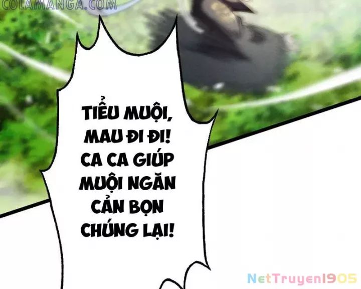 Gặp Mạnh Thì Càng Mạnh, Tu Vi Của Ta Không Giới Hạn: Chapter 62