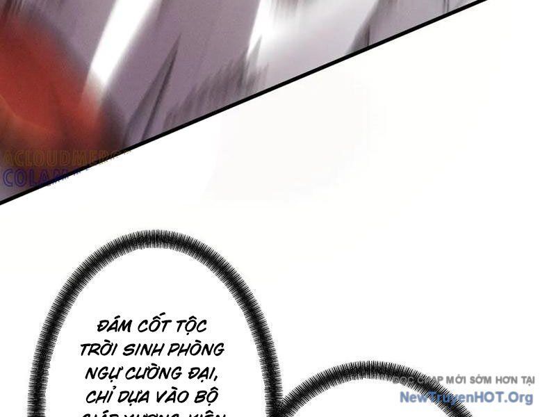 Gặp Mạnh Thì Càng Mạnh, Tu Vi Của Ta Không Giới Hạn: Chapter 65