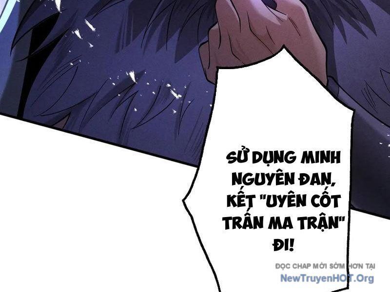 Gặp Mạnh Thì Càng Mạnh, Tu Vi Của Ta Không Giới Hạn: Chapter 65