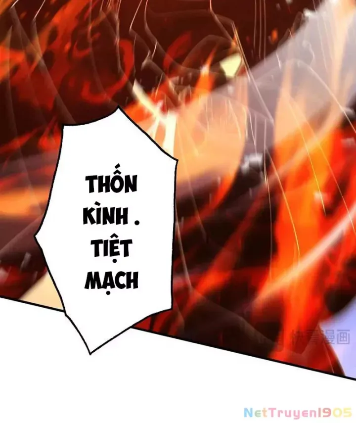 Gặp Mạnh Thì Càng Mạnh, Tu Vi Của Ta Không Giới Hạn: Chapter 66