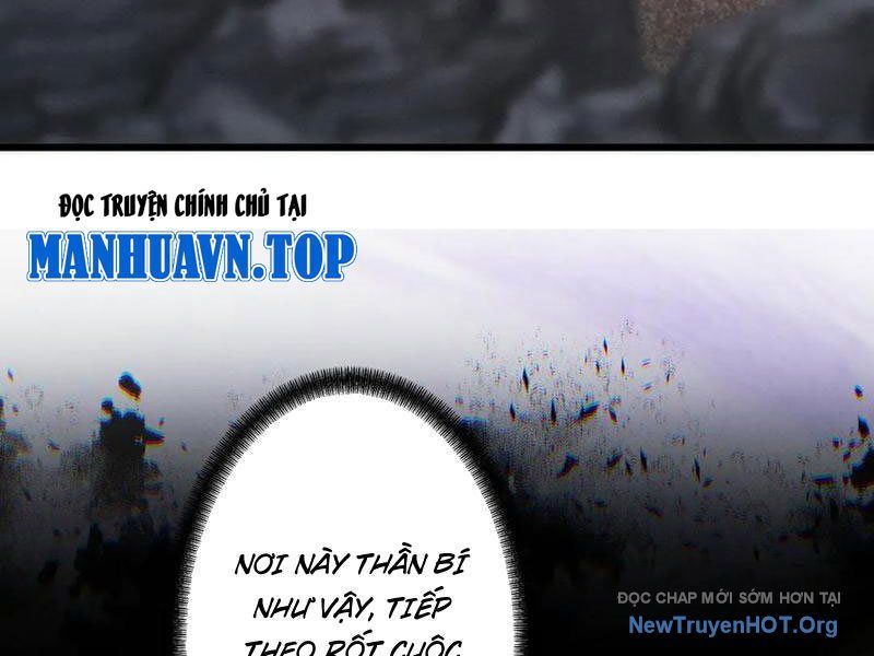 Gặp Mạnh Thì Càng Mạnh, Tu Vi Của Ta Không Giới Hạn: Chapter 70