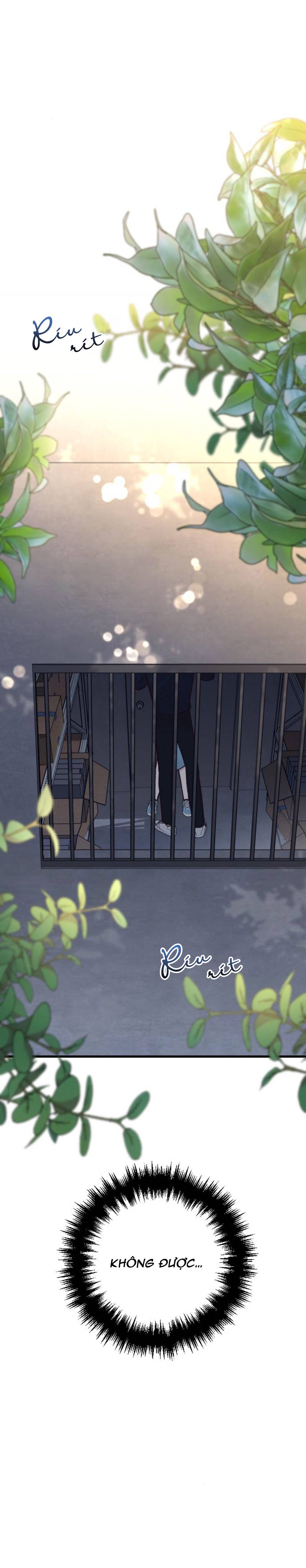 Gặp Nhau Ở Trung Gian: Chapter 28