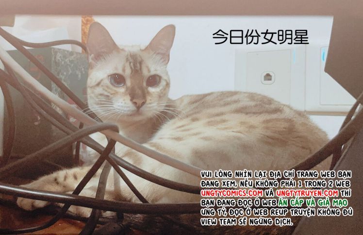 Giam Thủ Bị Đạo: Chapter 15