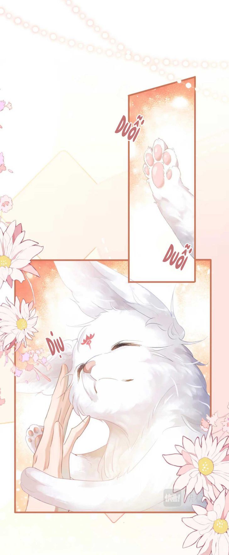 Giáo Bá Cửu Vĩ Hồ Theo Dõi Ta Lúc Sau: Chapter 1