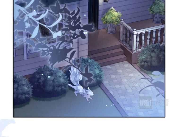 Giáo Bá Cửu Vĩ Hồ Theo Dõi Ta Lúc Sau: Chapter 12