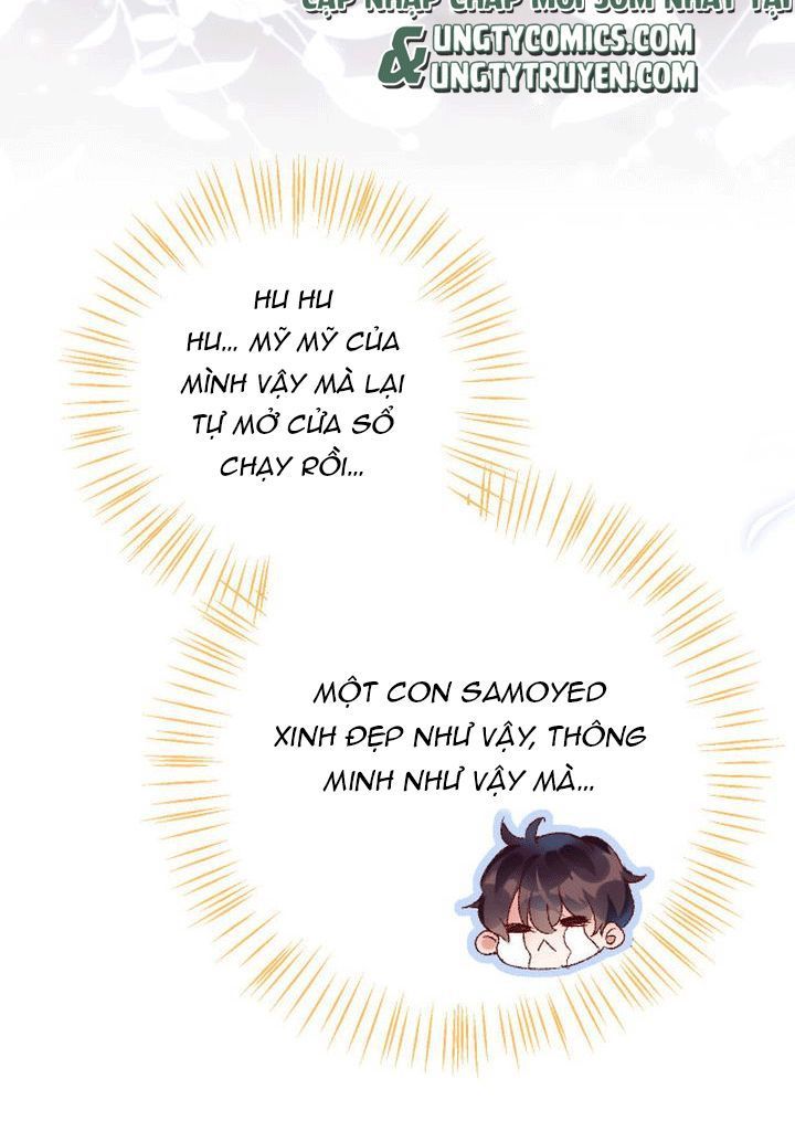 Giáo Bá Cửu Vĩ Hồ Theo Dõi Ta Lúc Sau: Chapter 2