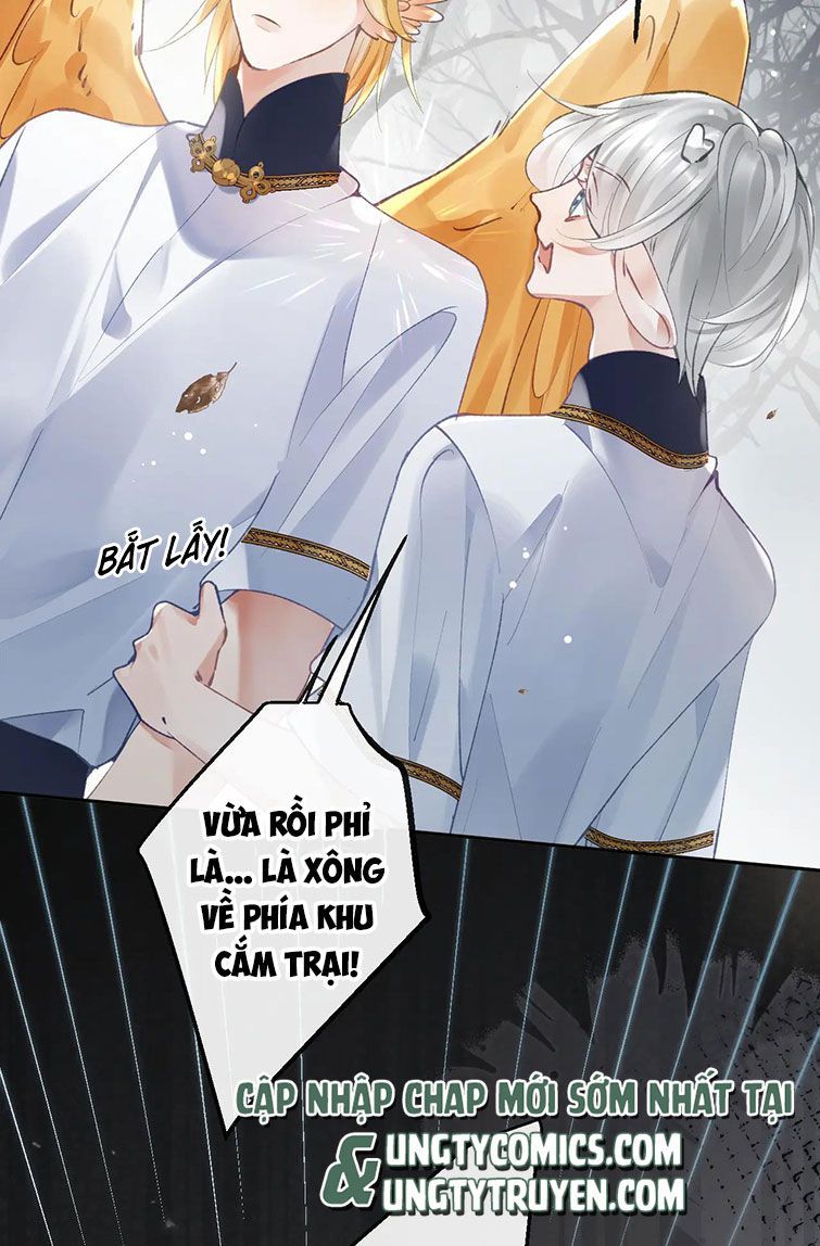 Giáo Bá Cửu Vĩ Hồ Theo Dõi Ta Lúc Sau: Chapter 20