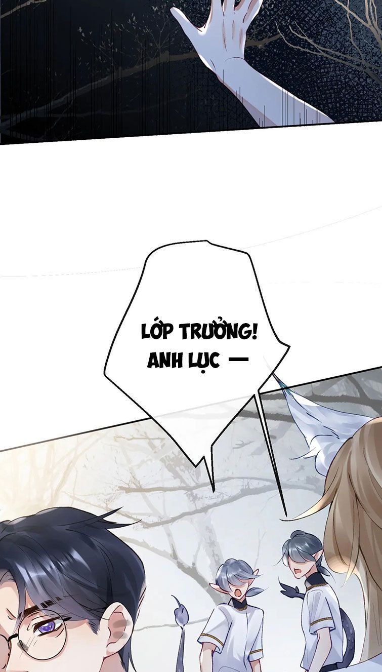 Giáo Bá Cửu Vĩ Hồ Theo Dõi Ta Lúc Sau: Chapter 20