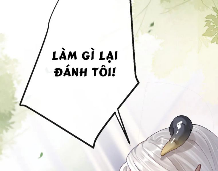 Giáo Bá Cửu Vĩ Hồ Theo Dõi Ta Lúc Sau: Chapter 6