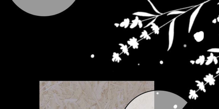 Gió Cung Bên Tai: Chapter 6