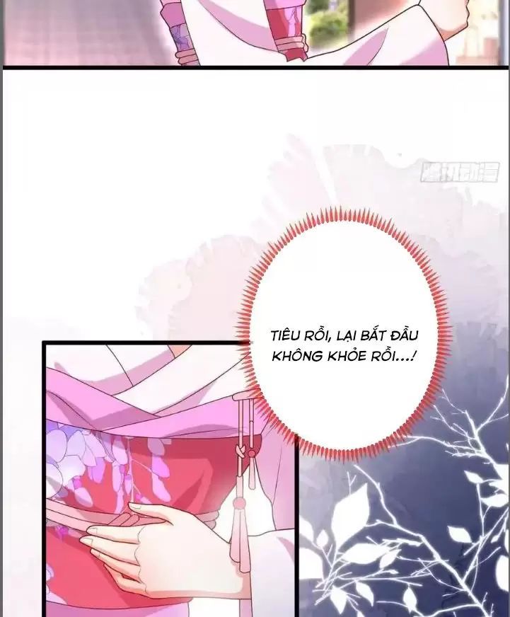 Hắc Đạo Đáng Yêu: Chapter 216