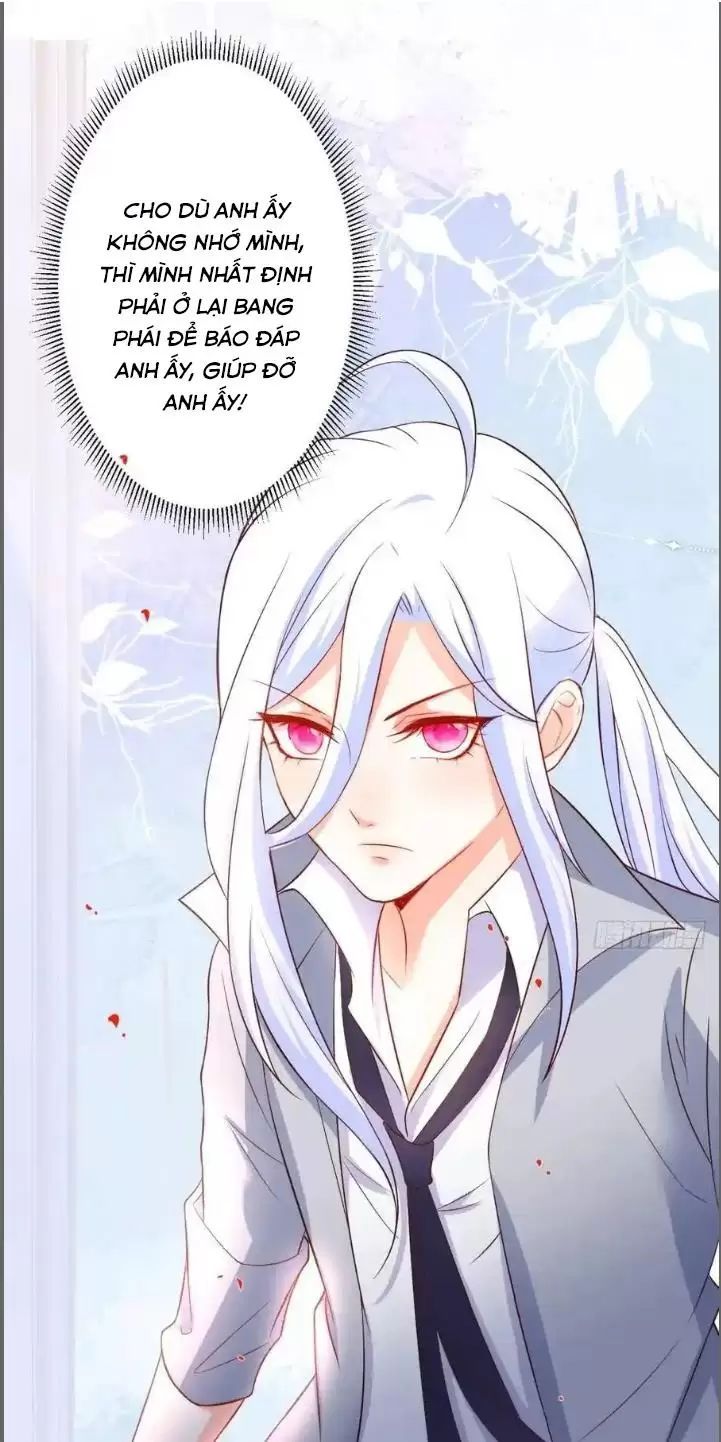 Hắc Đạo Đáng Yêu: Chapter 231