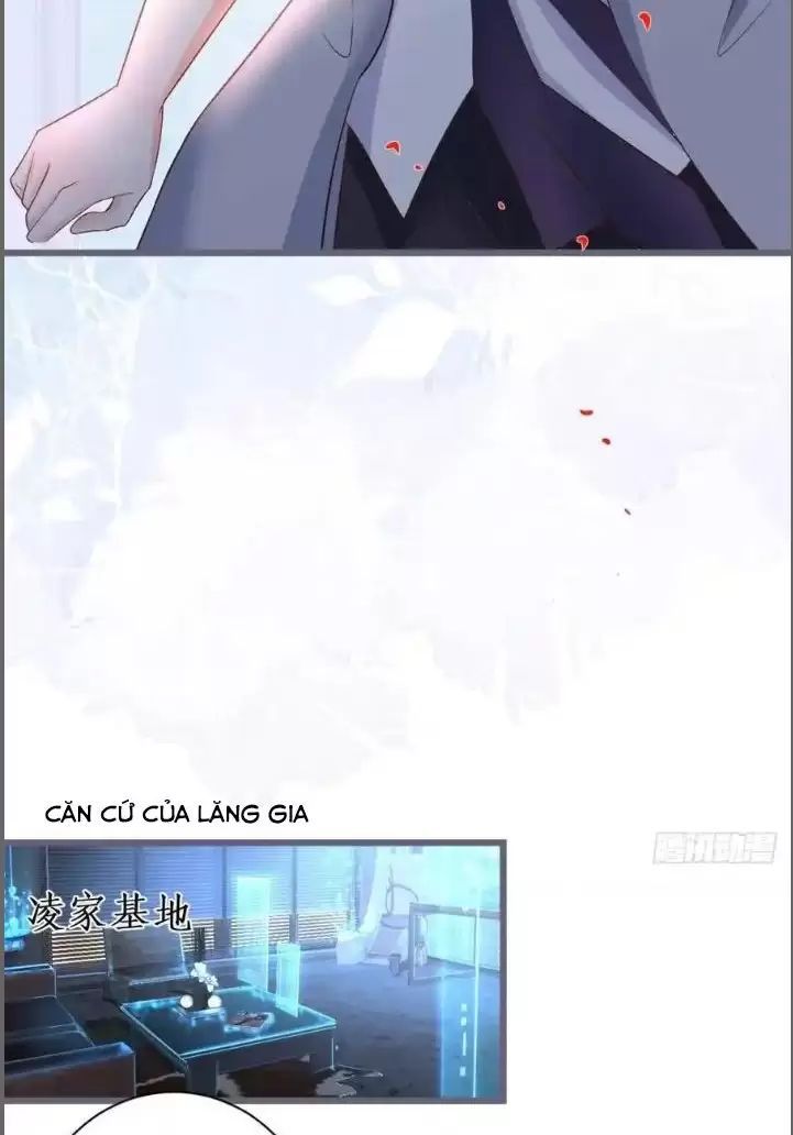Hắc Đạo Đáng Yêu: Chapter 231