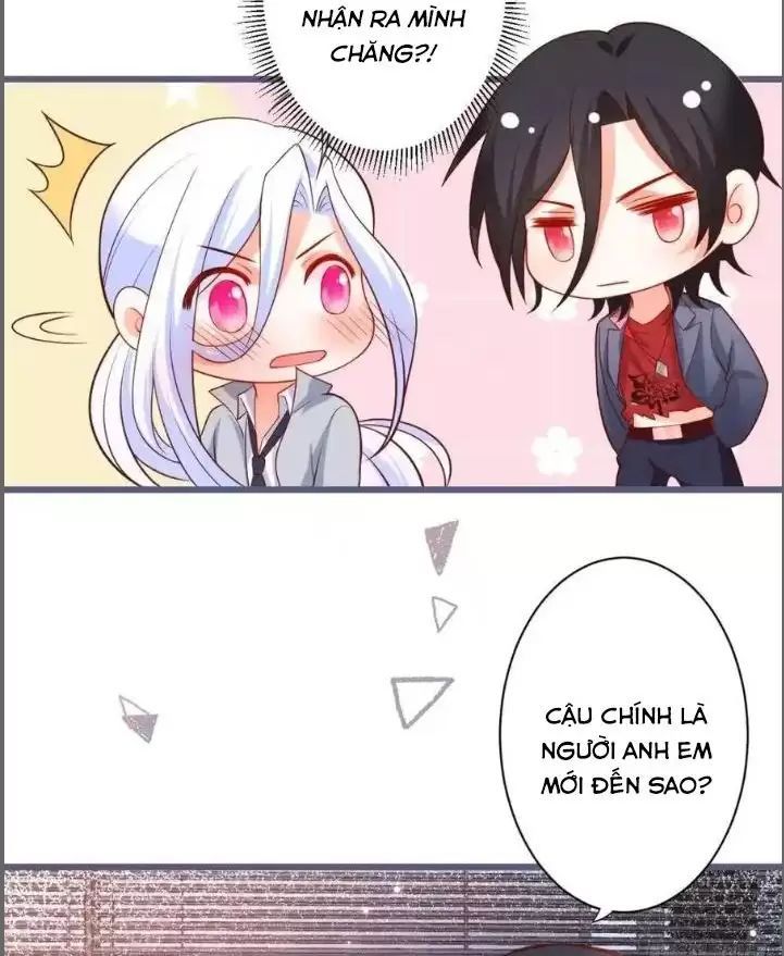 Hắc Đạo Đáng Yêu: Chapter 231