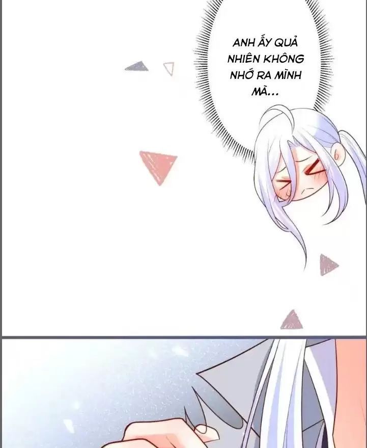 Hắc Đạo Đáng Yêu: Chapter 231