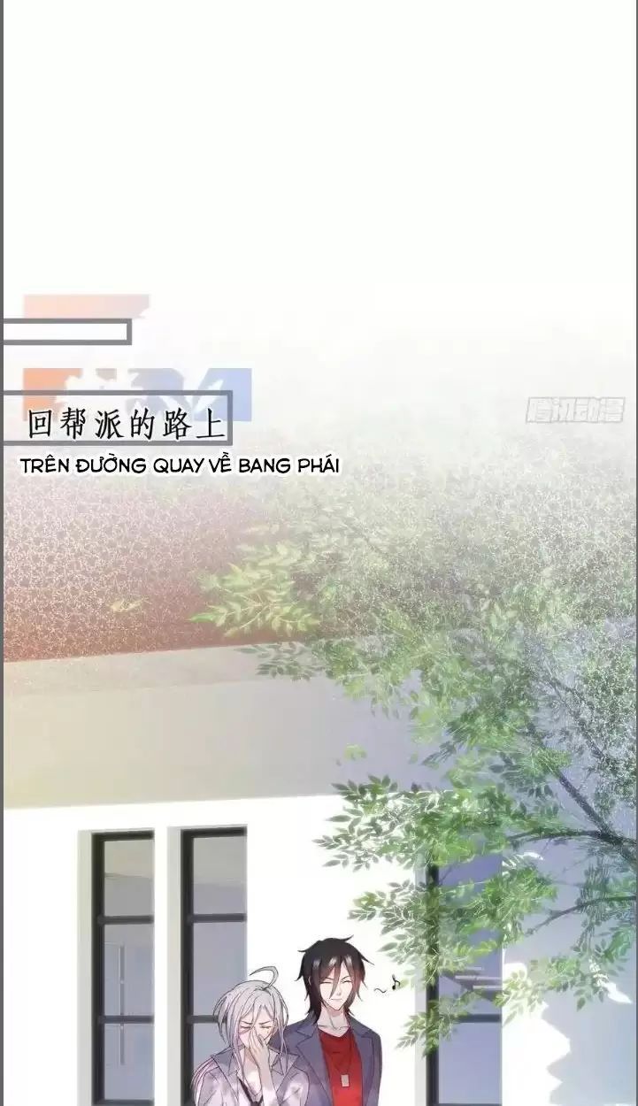 Hắc Đạo Đáng Yêu: Chapter 234