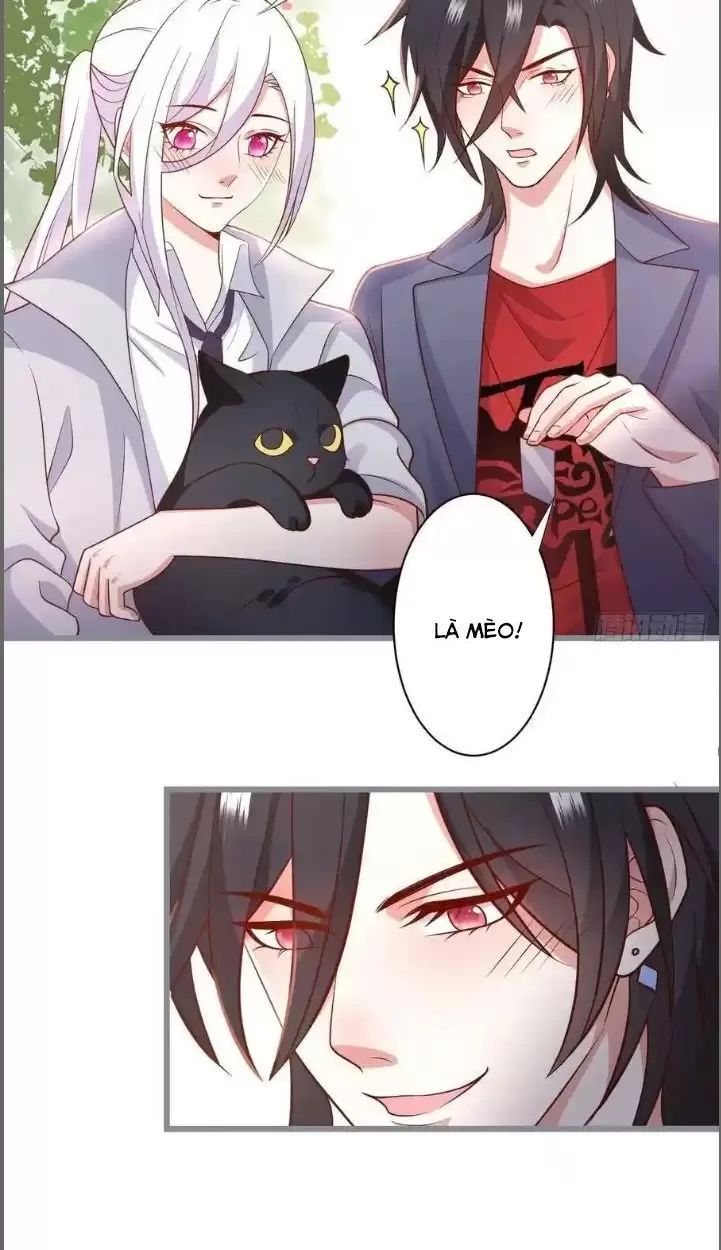 Hắc Đạo Đáng Yêu: Chapter 234