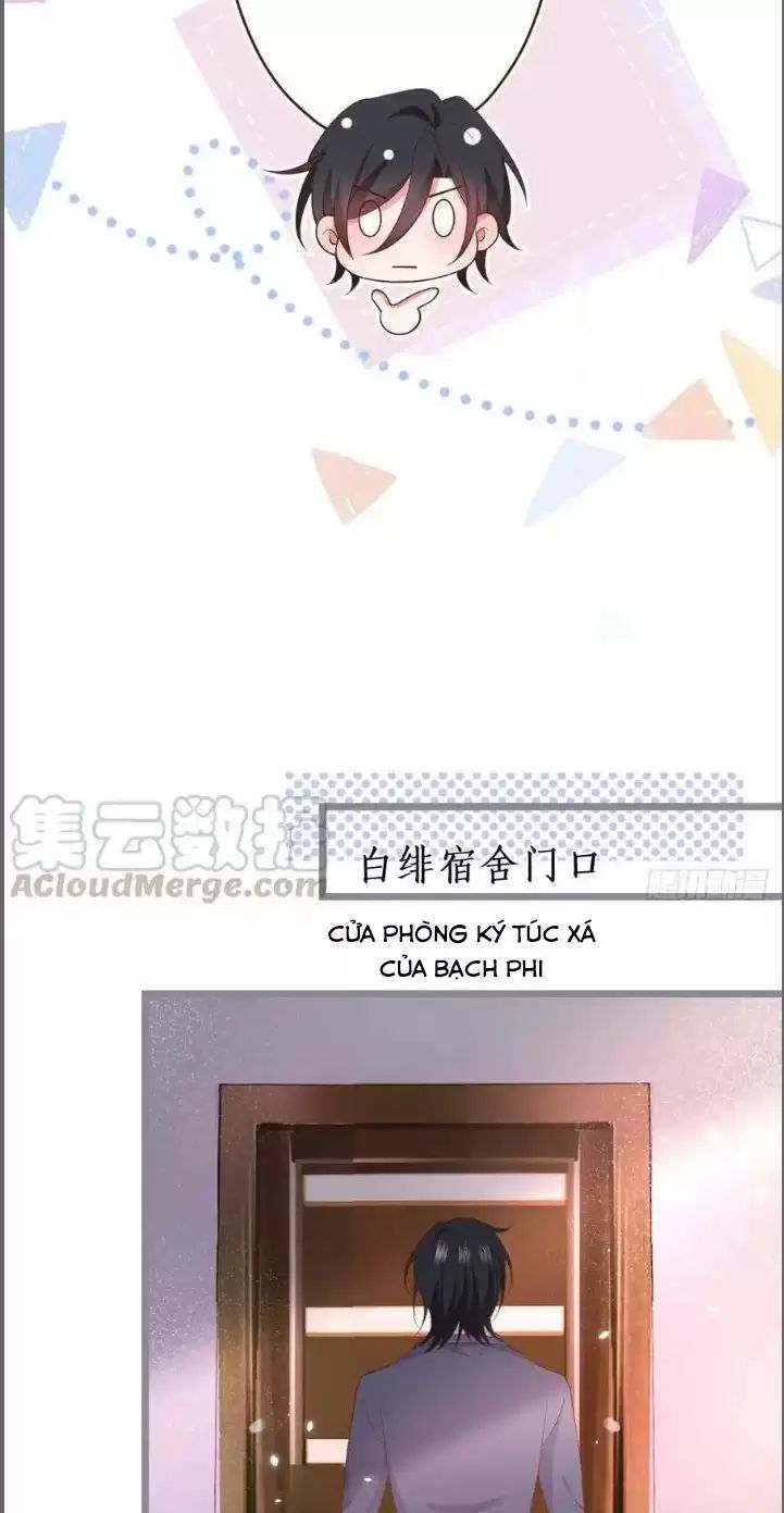 Hắc Đạo Đáng Yêu: Chapter 238
