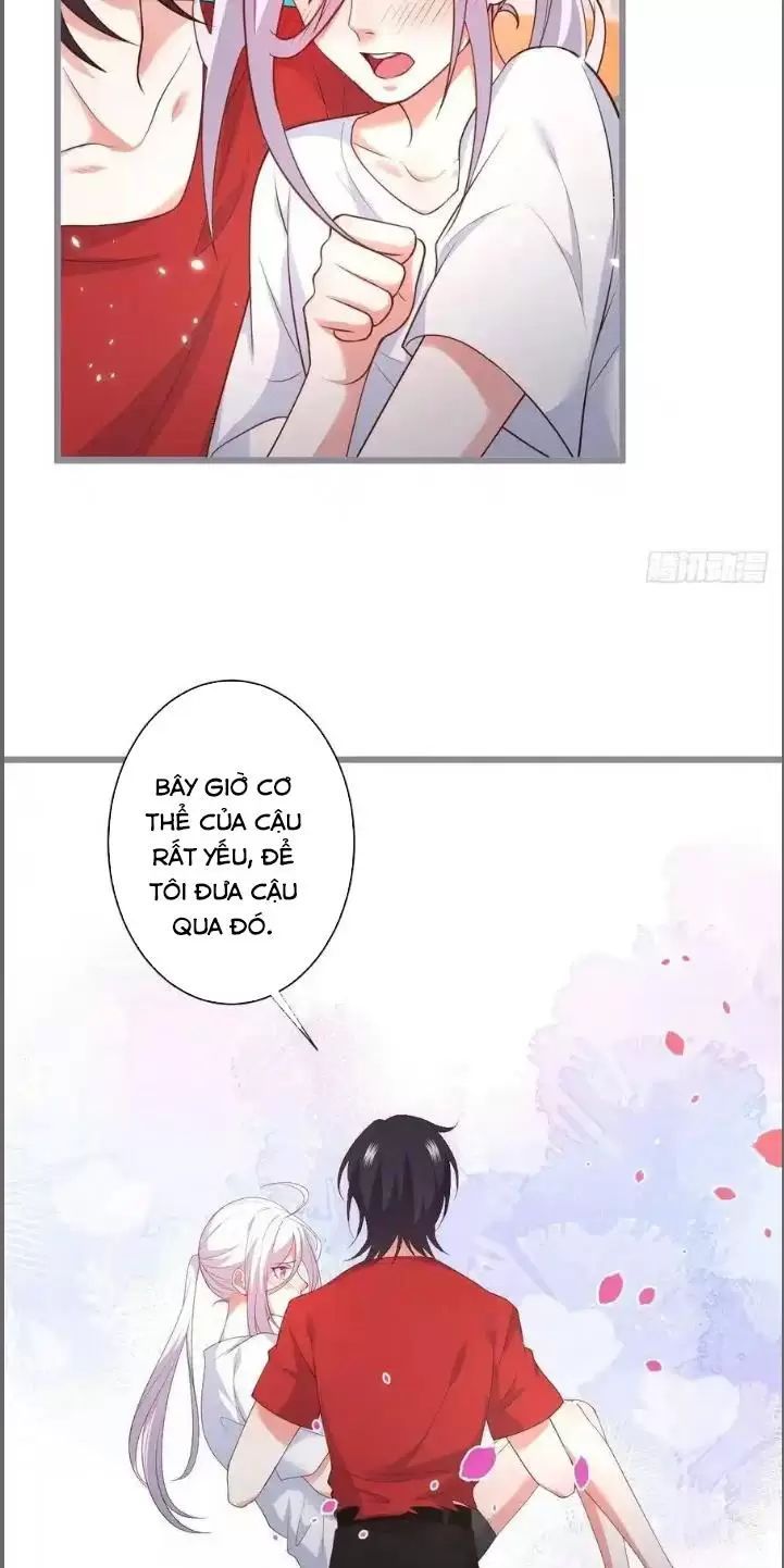 Hắc Đạo Đáng Yêu: Chapter 240