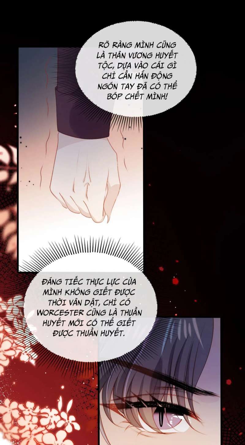 Hắc Hóa Phản Diện Sủng Lên Trời: Chapter 71