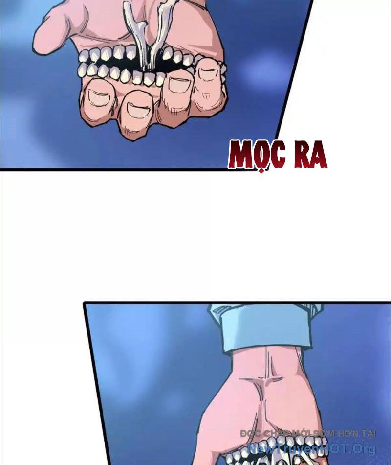 Hắc Vũ Giáng Lâm: Chapter 3