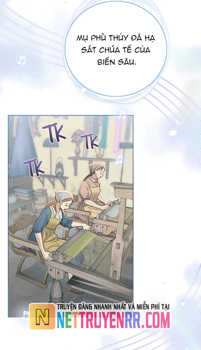 Hải Âu & Sói Hoang: Chapter 1