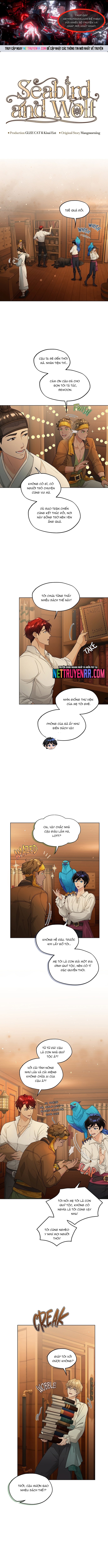 Hải Âu & Sói Hoang: Chapter 26