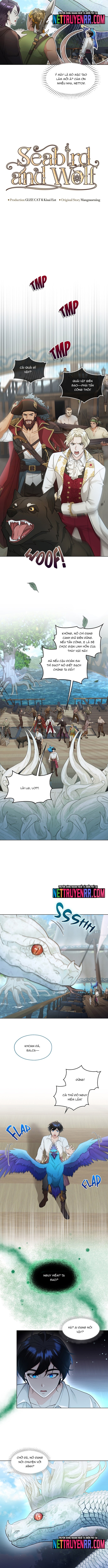 Hải Âu & Sói Hoang: Chapter 28