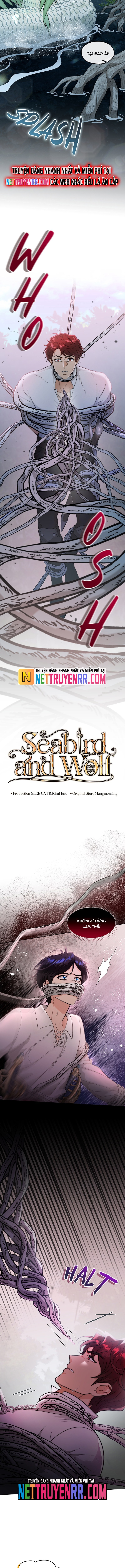 Hải Âu & Sói Hoang: Chapter 31