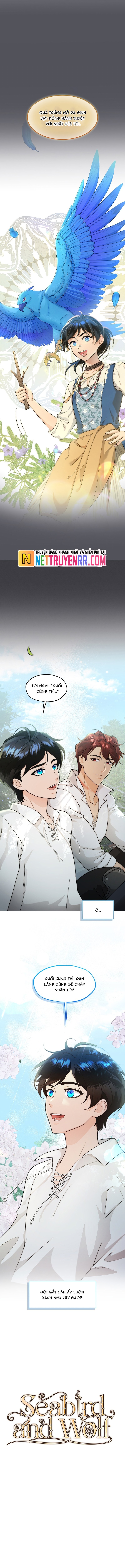 Hải Âu & Sói Hoang: Chapter 31